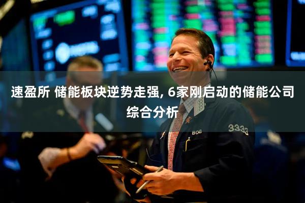 速盈所 储能板块逆势走强, 6家刚启动的储能公司综合分析