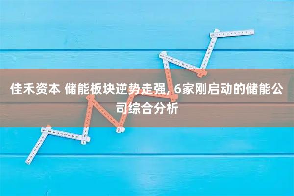 佳禾资本 储能板块逆势走强, 6家刚启动的储能公司综合分析