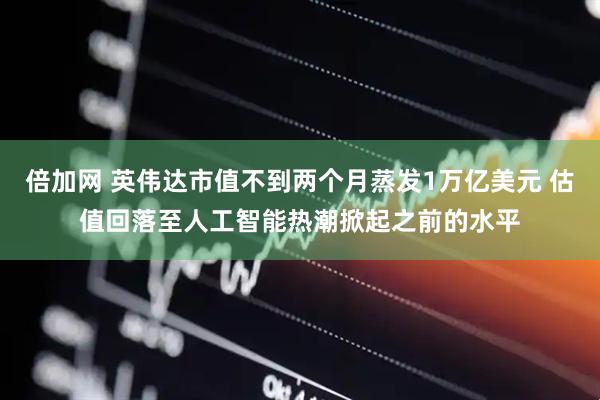 倍加网 英伟达市值不到两个月蒸发1万亿美元 估值回落至人工智能热潮掀起之前的水平