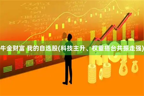 牛金财富 我的自选股(科技主升、权重搭台共振走强)